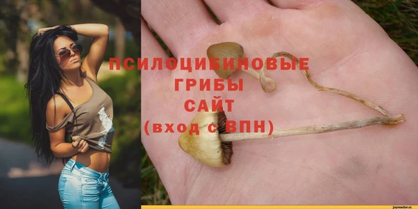 мескалин Богородицк