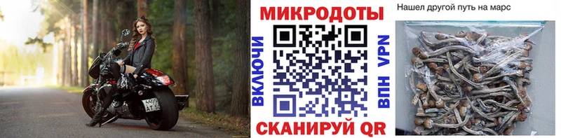 Псилоцибиновые грибы Magic Shrooms Верхняя Тура